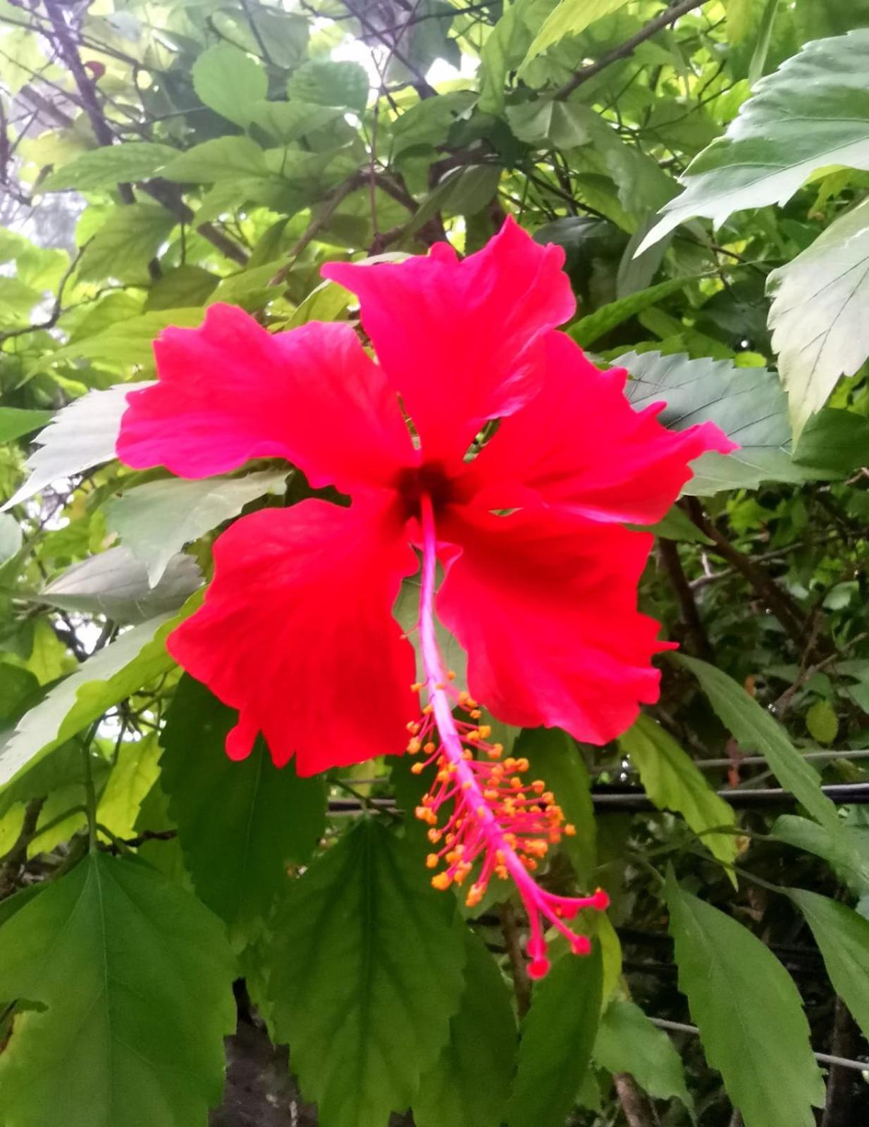 吉利美诺Exotic House别墅 外观 照片