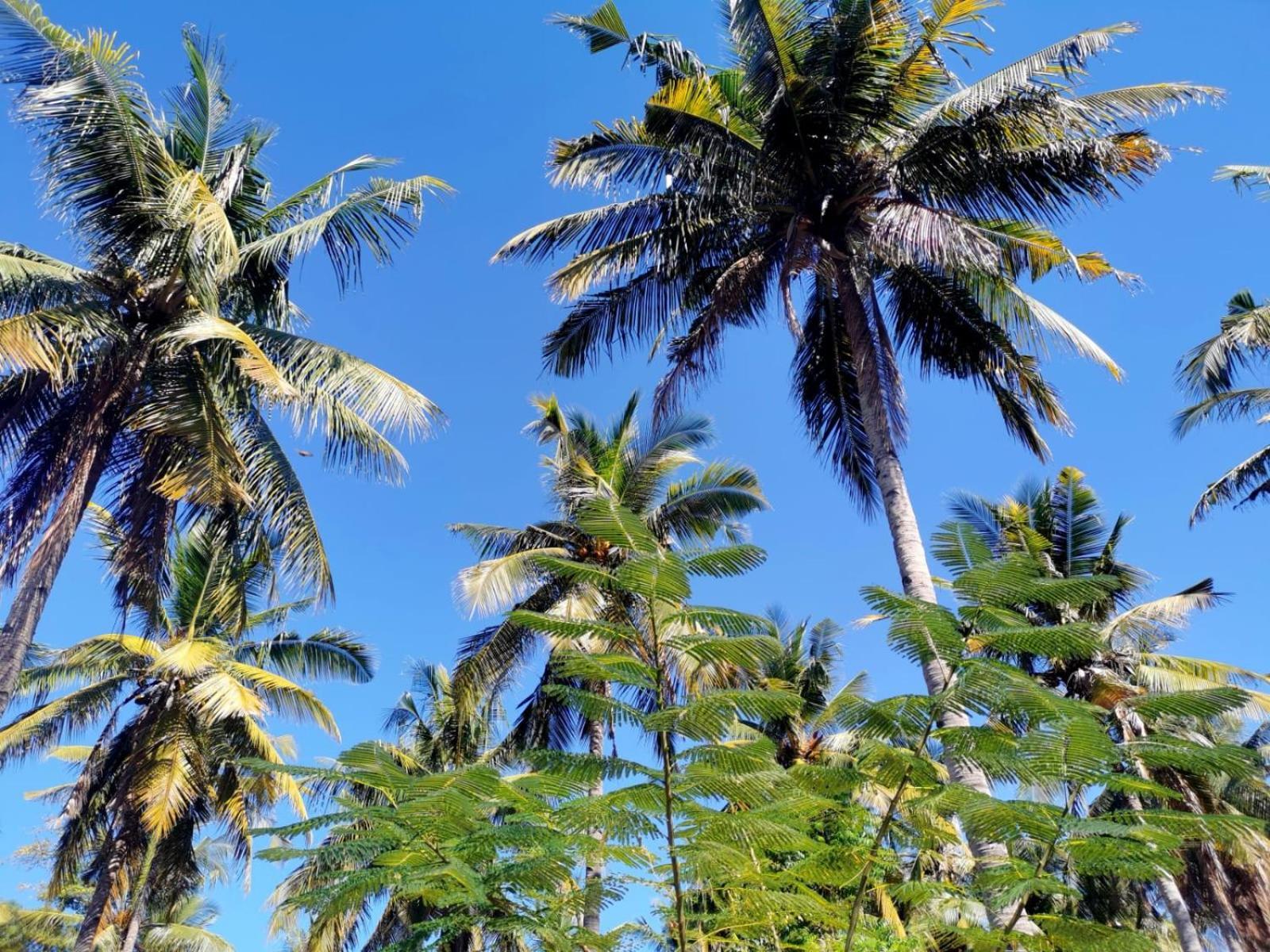 吉利美诺Exotic House别墅 外观 照片