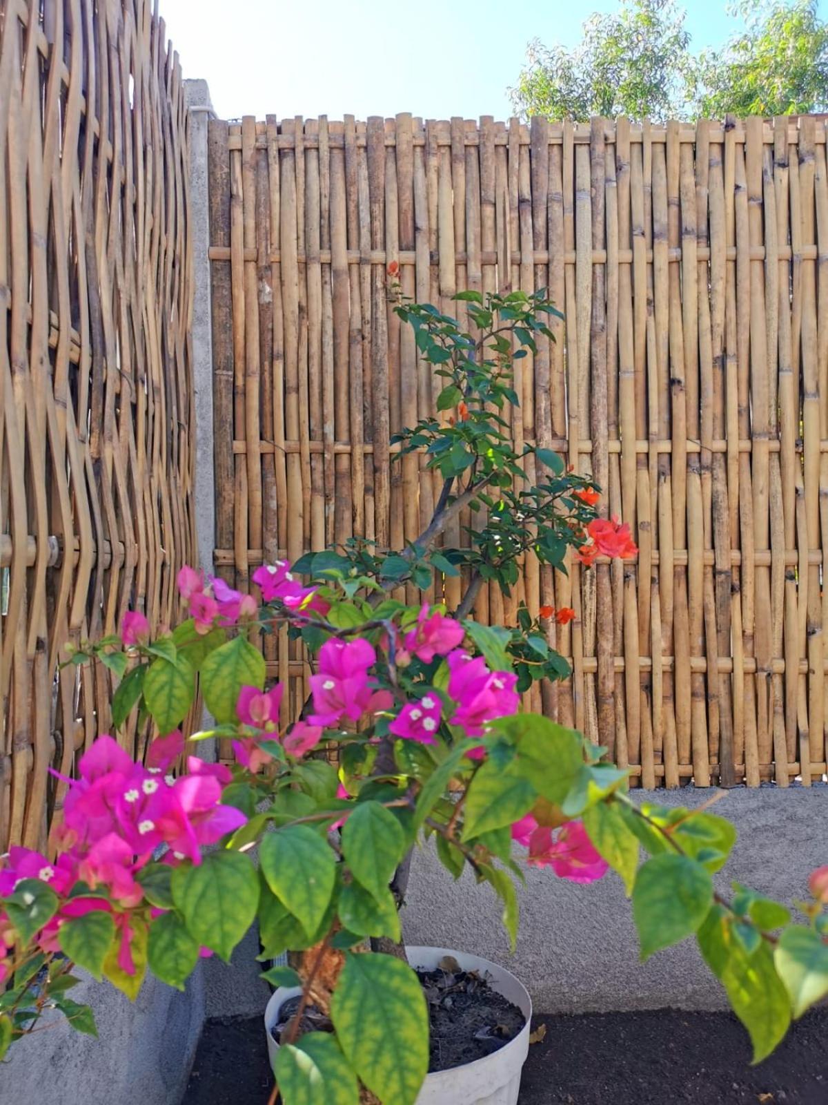 吉利美诺Exotic House别墅 外观 照片