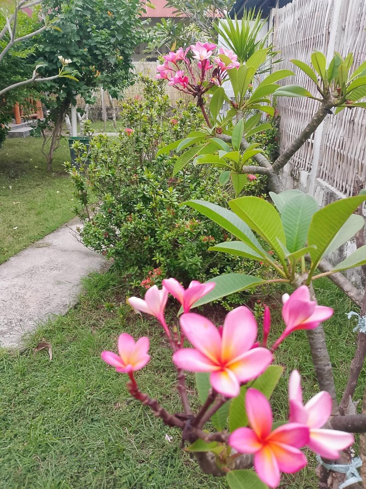 吉利美诺Exotic House别墅 客房 照片