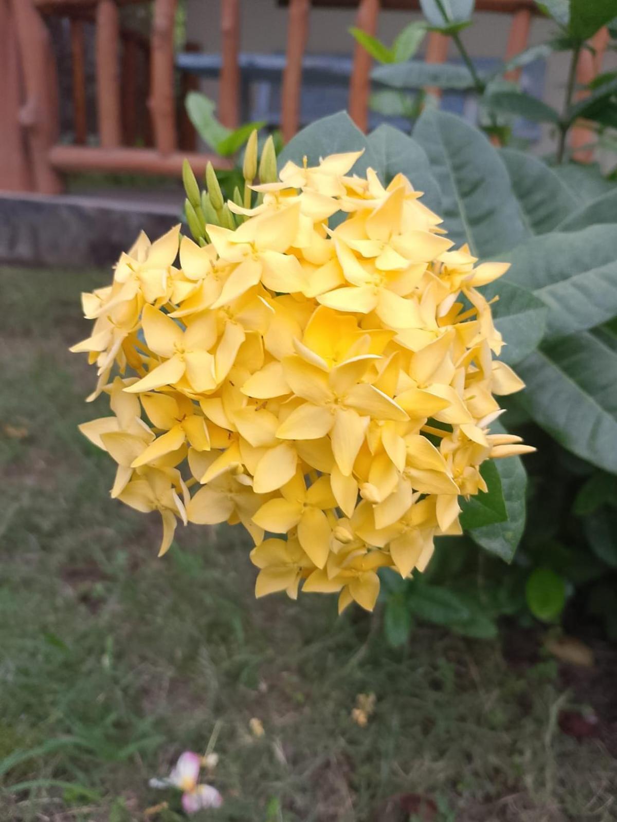 吉利美诺Exotic House别墅 客房 照片